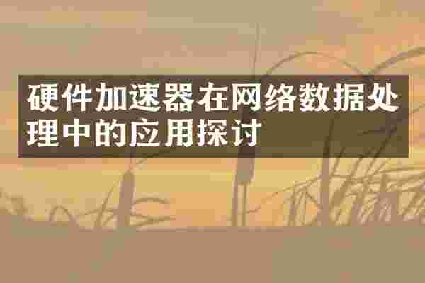 硬件加速器在网络数据处理中的应用探讨