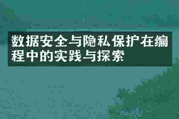 数据安全与隐私保护在编程中的实践与探索
