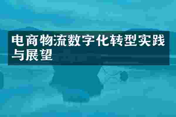 电商物流数字化转型实践与展望