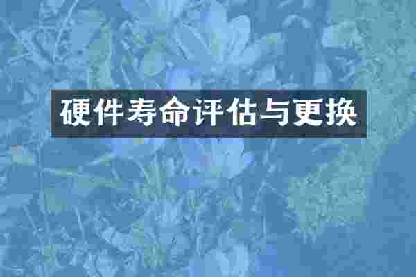 硬件寿命评估与更换