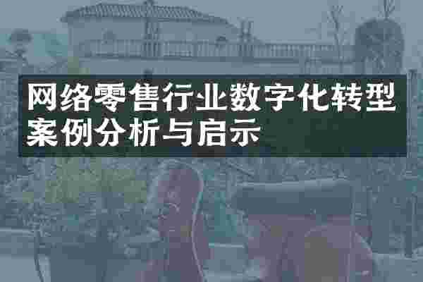 网络零售行业数字化转型案例分析与启示