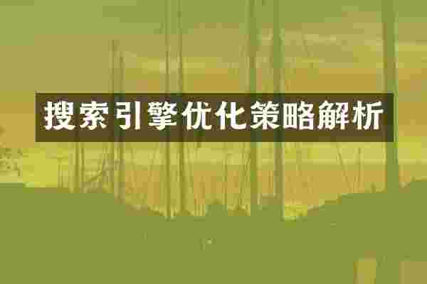 搜索引擎优化策略解析