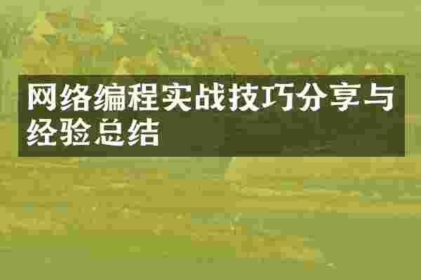 网络编程实战技巧分享与经验总结