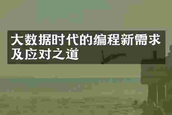 大数据时代的编程新需求及应对之道