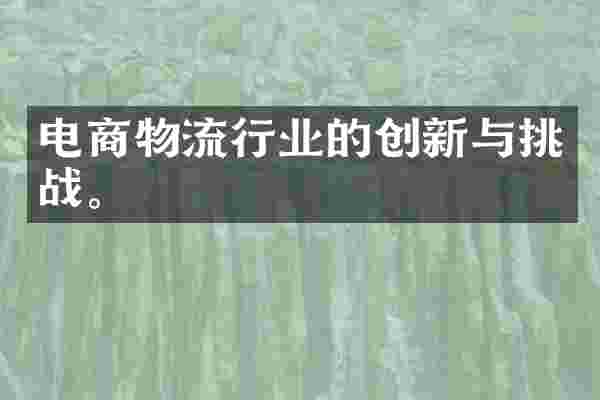 电商物流行业的创新与挑战。