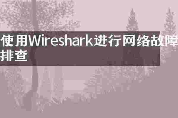 使用Wireshark进行网络故障排查