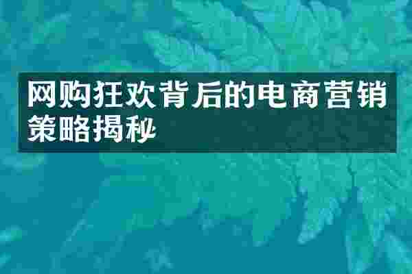 网购狂欢背后的电商营销策略揭秘