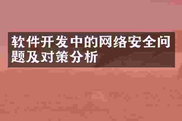 软件开发中的网络安全问题及对策分析