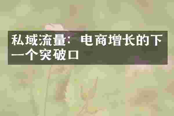 私域流量：电商增长的下一个突破口