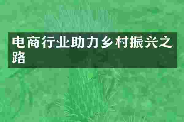 电商行业助力乡村振兴之路