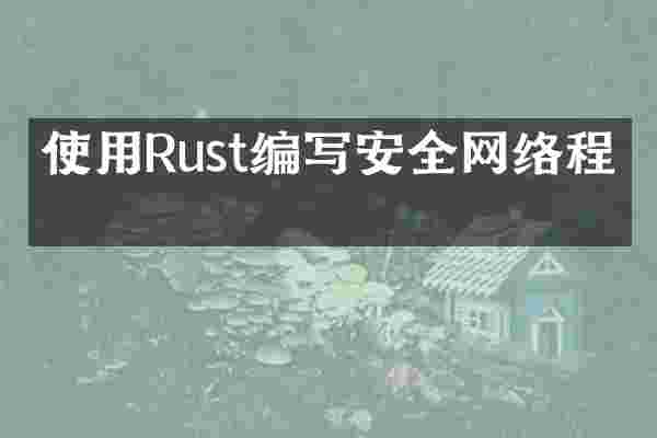 使用Rust编写安全网络程序