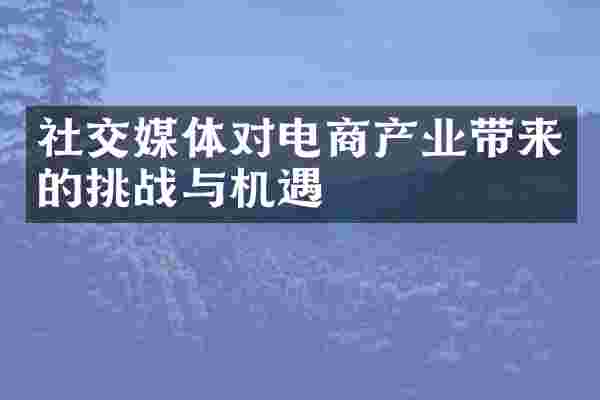 社交媒体对电商产业带来的挑战与机遇