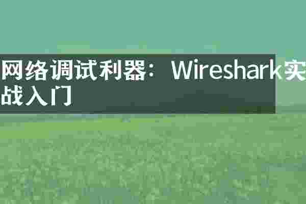 网络调试利器：Wireshark实战入门