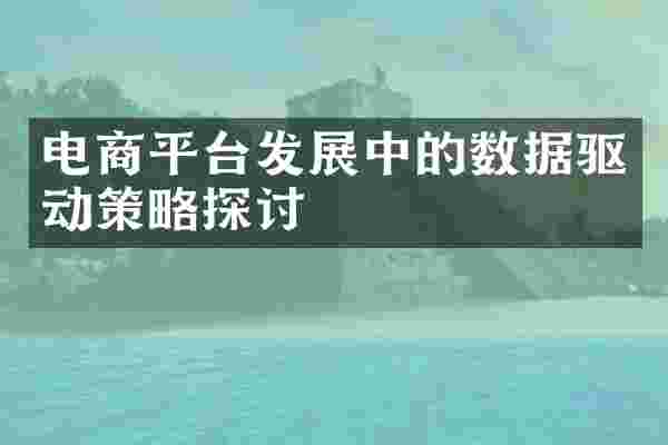 电商平台发展中的数据驱动策略探讨