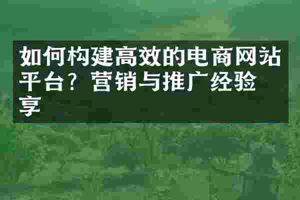 如何构建高效的电商网站平台？营销与推广经验分享