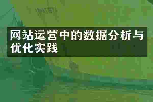 网站运营中的数据分析与优化实践