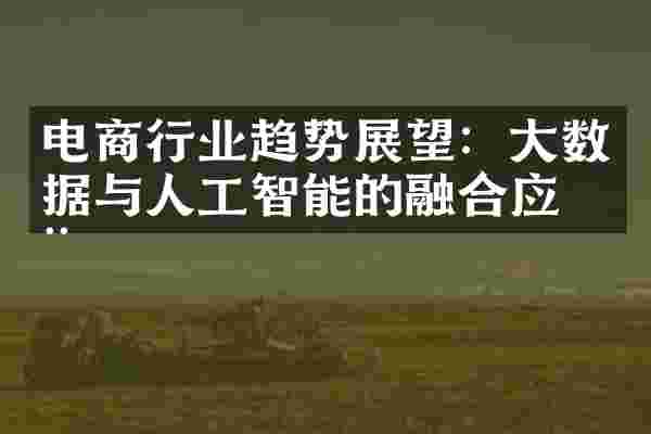 电商行业趋势展望：大数据与人工智能的融合应用