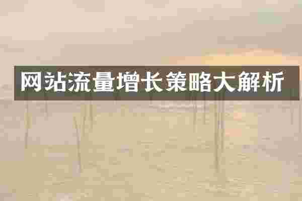 网站流量增长策略大解析