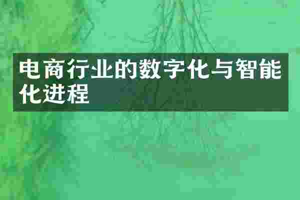 电商行业的数字化与智能化进程