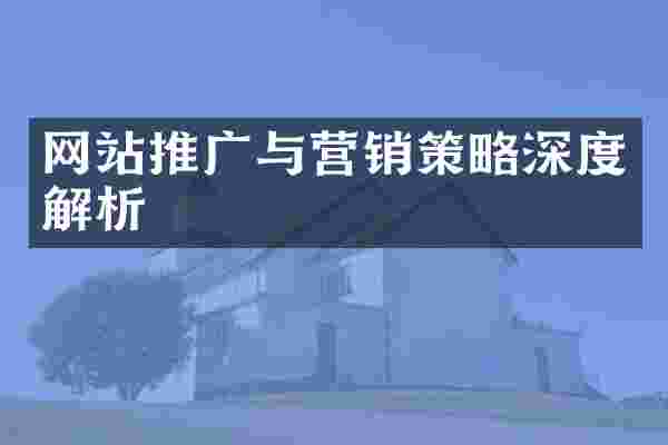 网站推广与营销策略深度解析