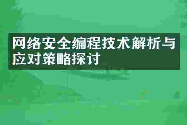 网络安全编程技术解析与应对策略探讨
