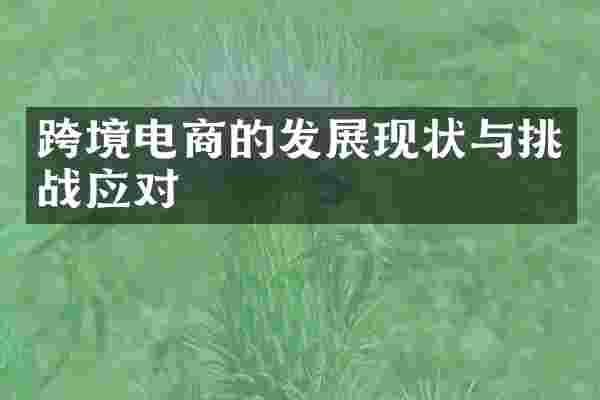 跨境电商的发展现状与挑战应对