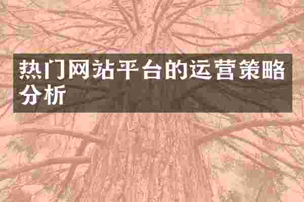 热门网站平台的运营策略分析