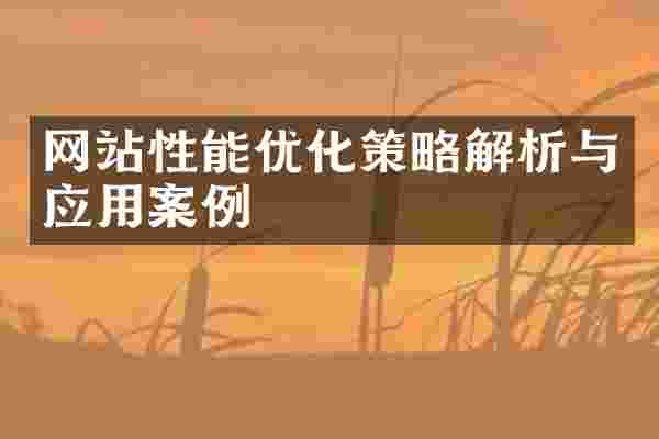 网站性能优化策略解析与应用案例
