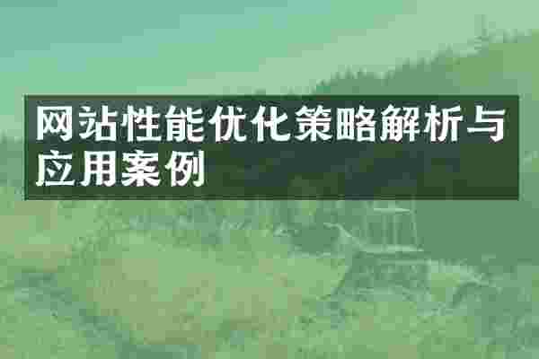 网站性能优化策略解析与应用案例