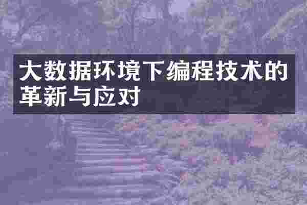 大数据环境下编程技术的革新与应对