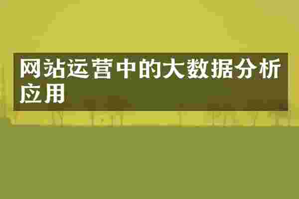 网站运营中的大数据分析应用