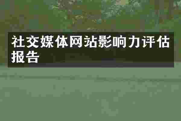 社交媒体网站影响力评估报告