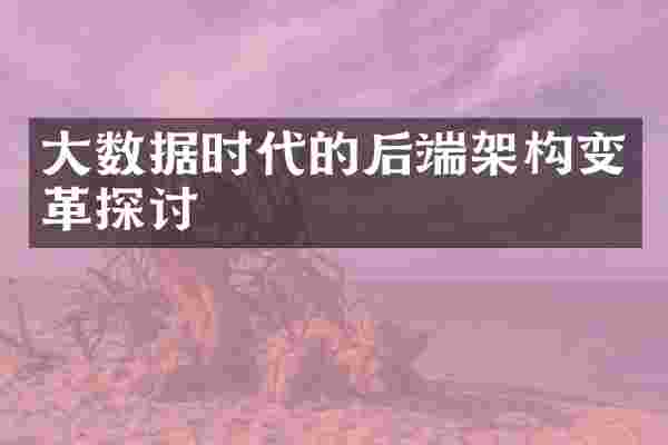 大数据时代的后端架构变革探讨