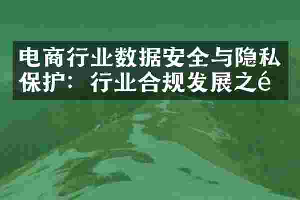电商行业数据安全与隐私保护：行业合规发展之道