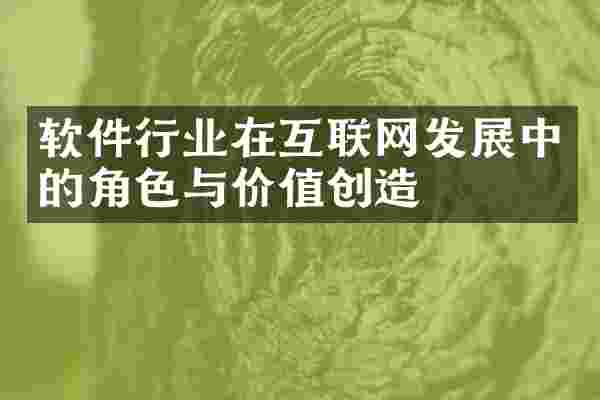 软件行业在互联网发展中的角色与价值创造