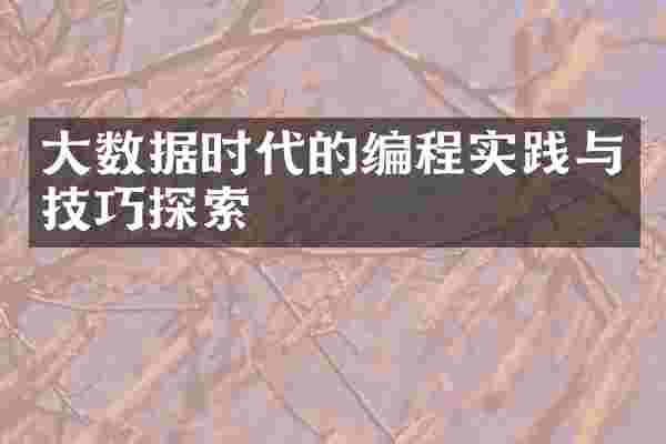 大数据时代的编程实践与技巧探索