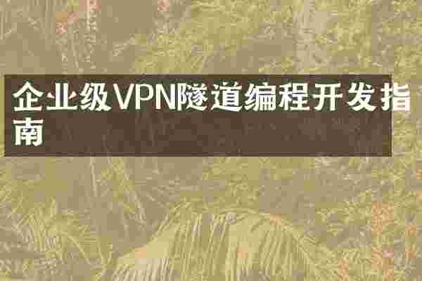 企业级VPN隧道编程开发指南