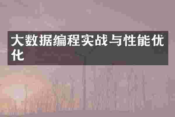 大数据编程实战与性能优化
